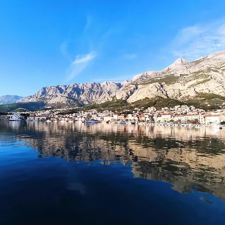 New Papillon * Makarska