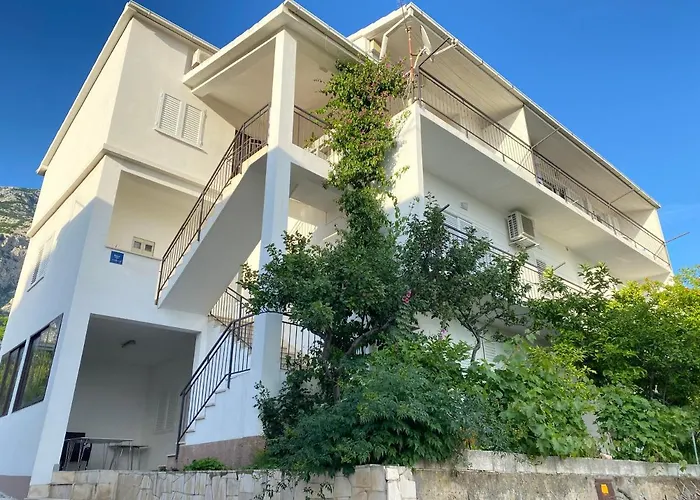 New Papillon * マカルスカ